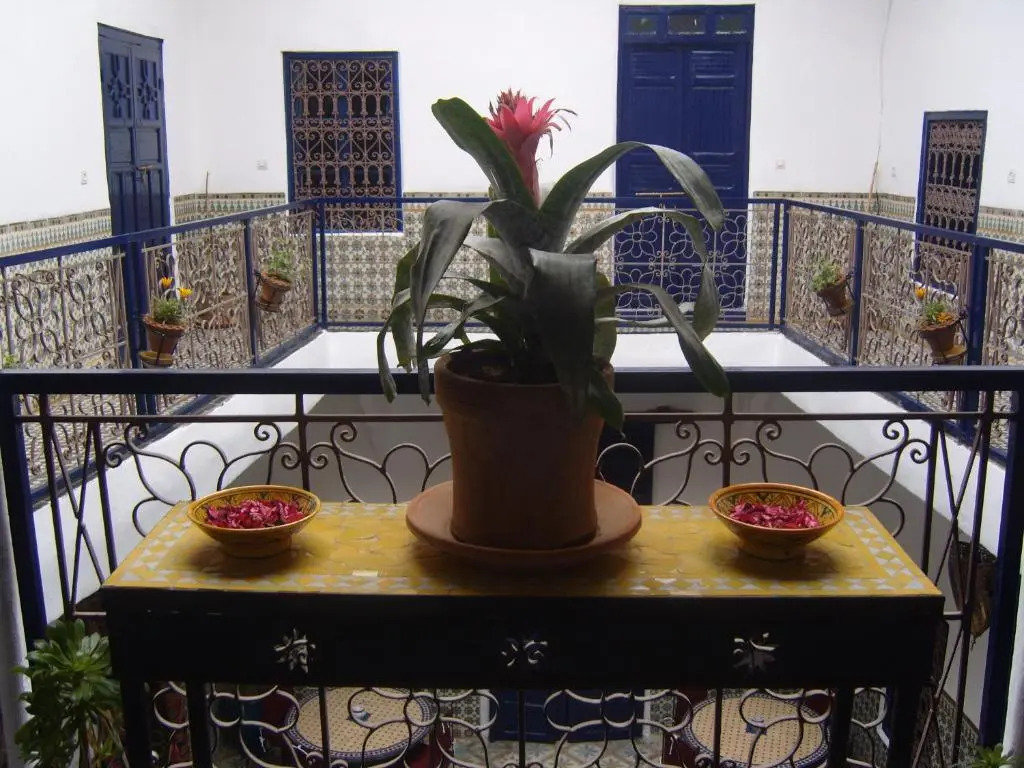 Riad Tiziri