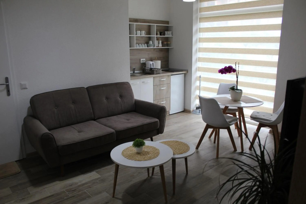 Mihail's Apartments in Ohrid 3