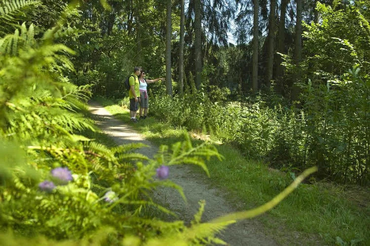 Pension Bergstub`n