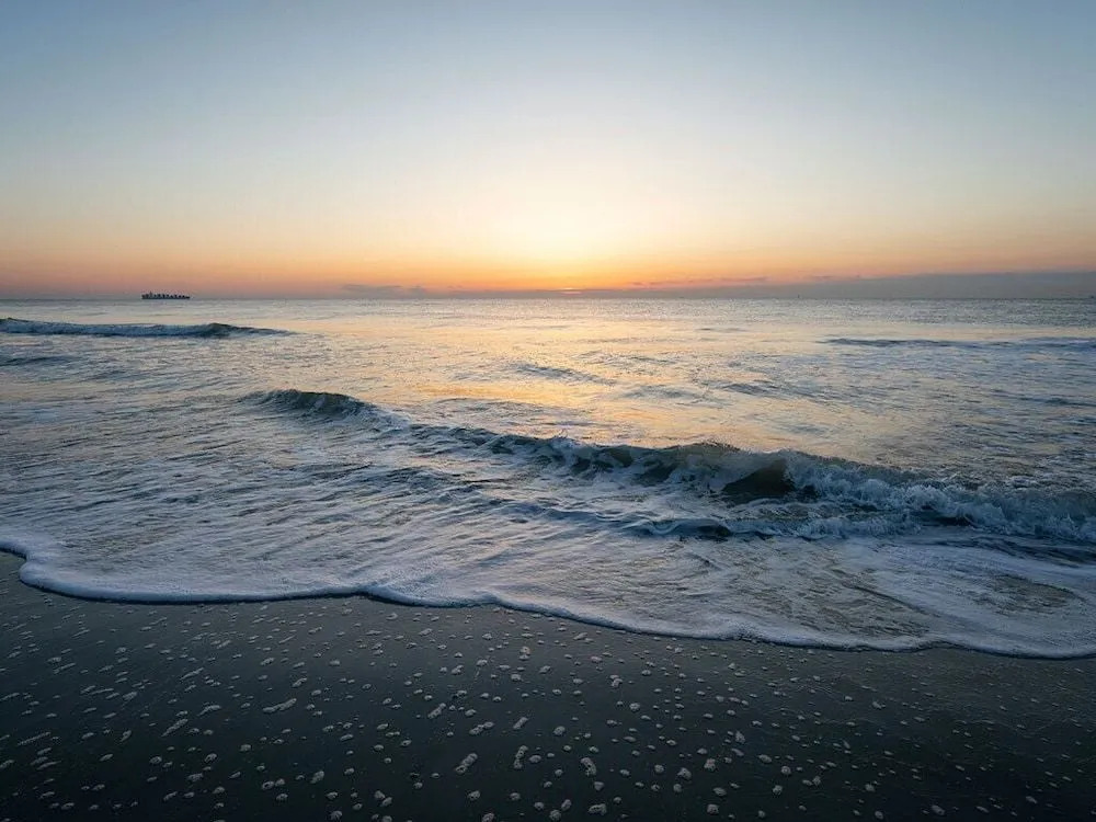 Sea Gull Ocean Villa