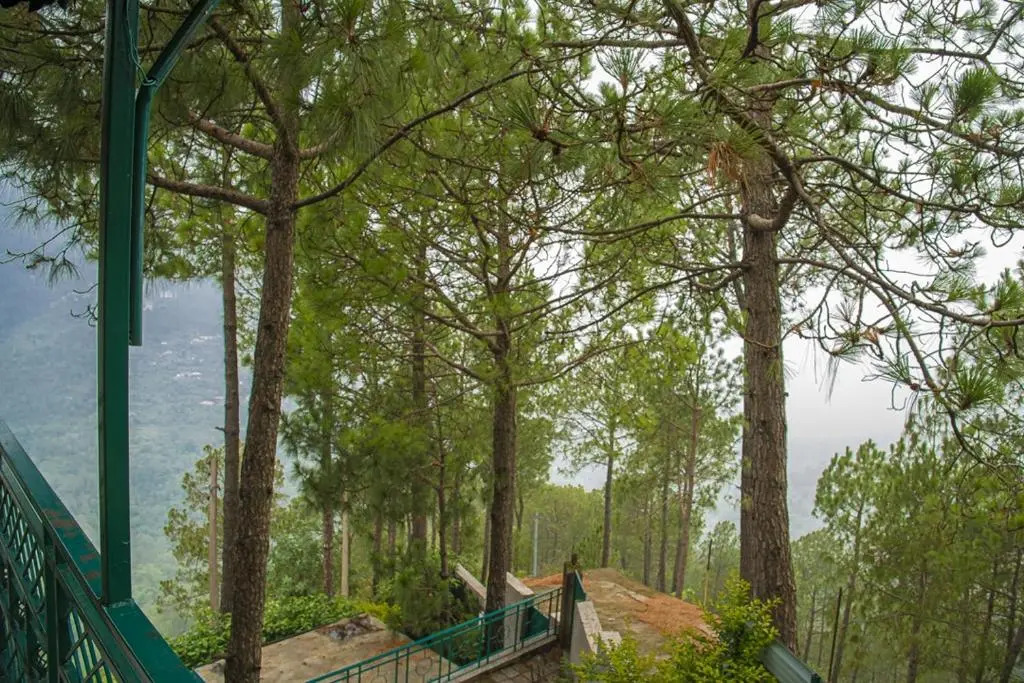 Sun Pine Villa