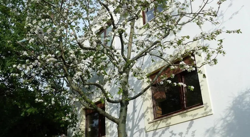 Apartment Mrkić