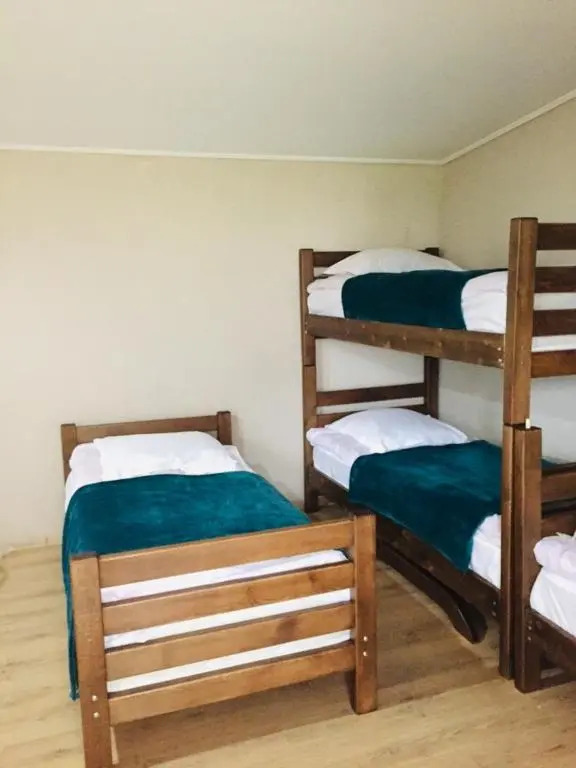 Arshaura Apartment near Kazbegi