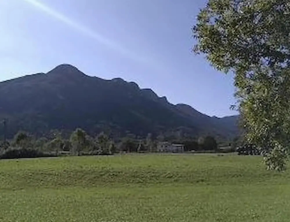 Bosque de Cuevas