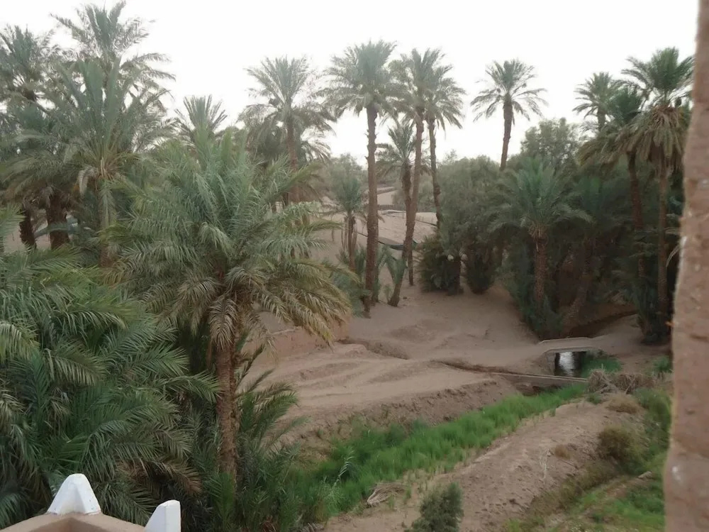 Riad Tagmadart Ferme D'hôte