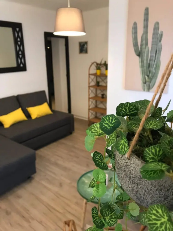 Cactus Apartment