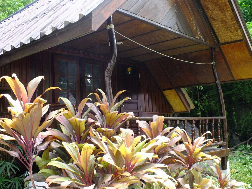 Seashell Coconut Village Koh Tao