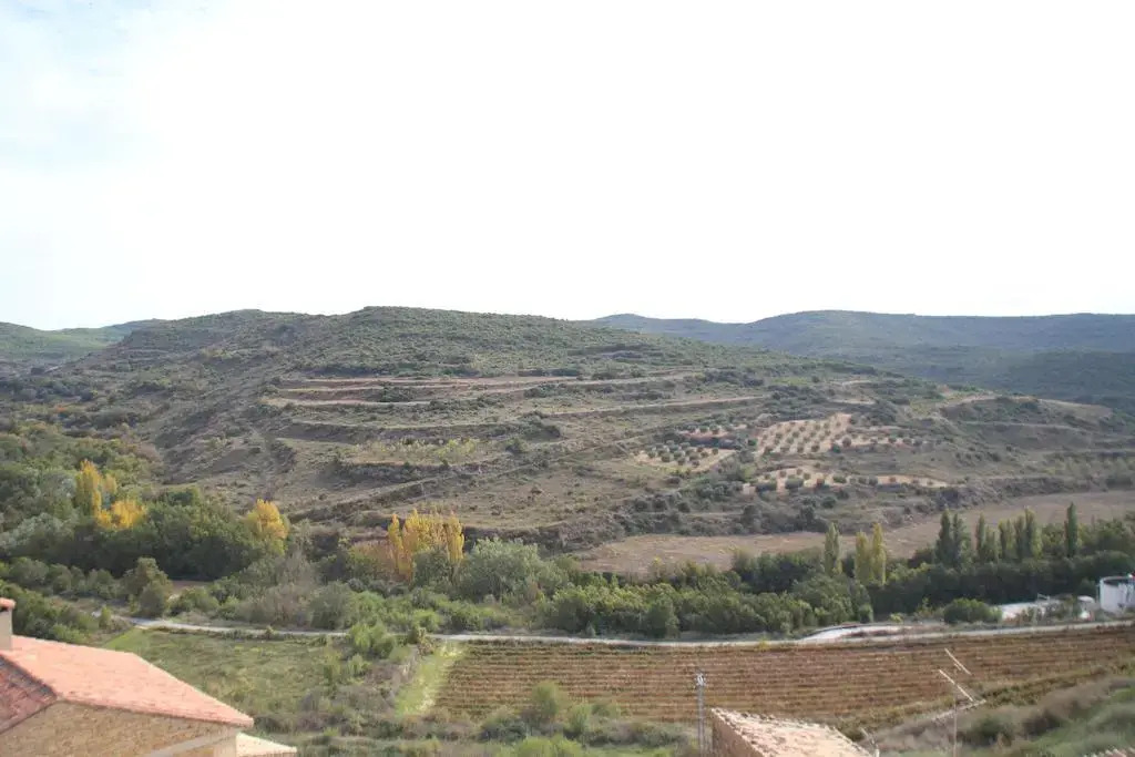 Casa Perico