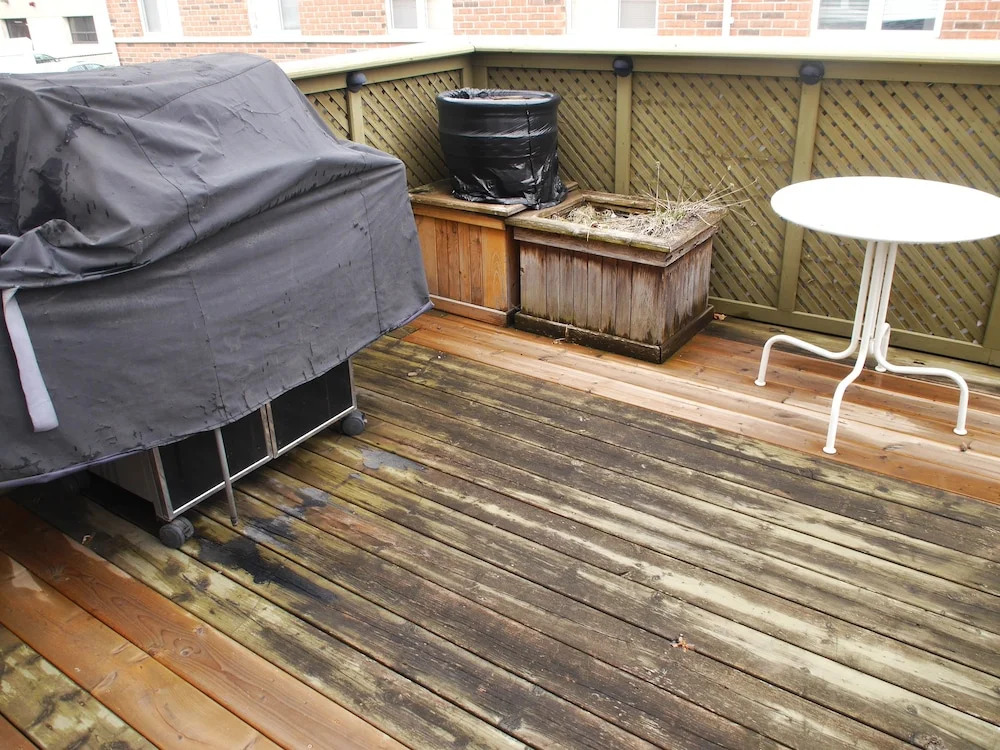 Newly Renovated 3BR Town Home