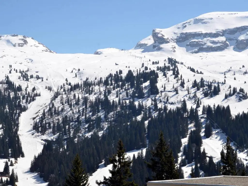 Studio Flaine, 1 pièce, 4 personnes - FR-1-425-180