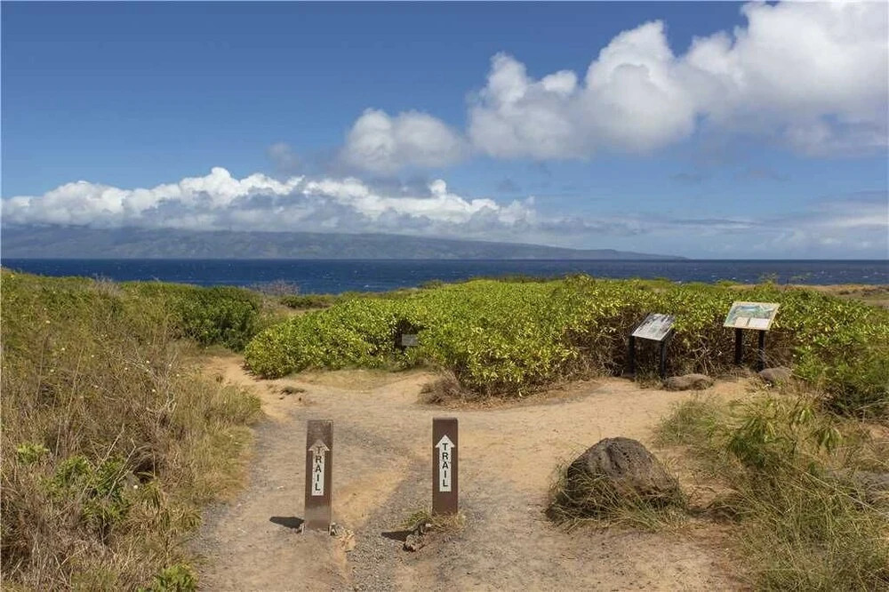 Kapalua Bay Villas 37G4 - Two Bedroom Condo