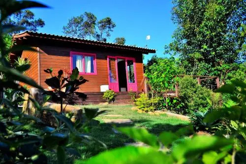 Wood Cabin into the Wild
