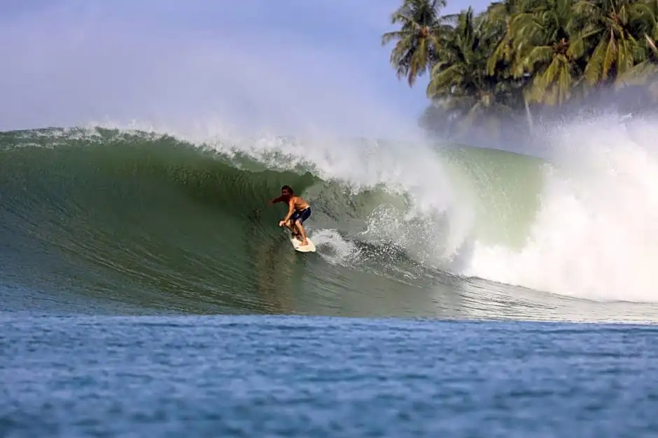 Grace Wave Resort