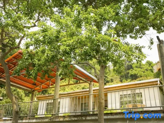 Modong Orchard Farmstay Boluo Luofu Moutain