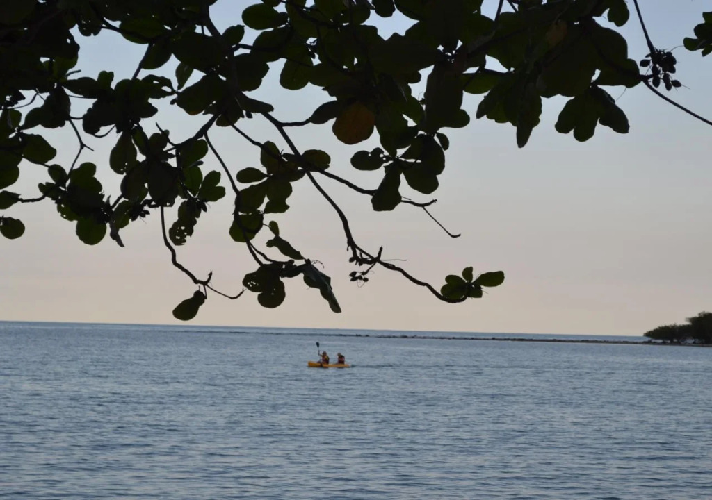 Palm Island Hotel