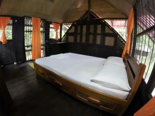 Amazon Experience Hostel