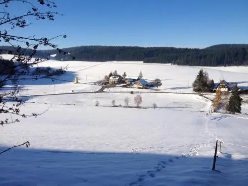 Pension Altvogtshof