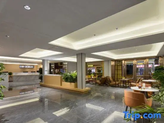 Silent Lost Horizon natural aesthetics Solo Courtyard Designer Hotel
