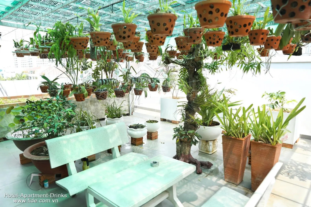 Fide Hotel