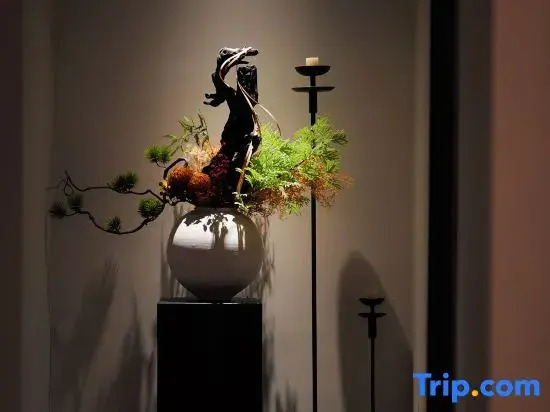 Wuyi Mountain Mingxi Hall Tea House