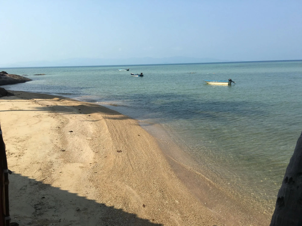 Blue Lotus Resort