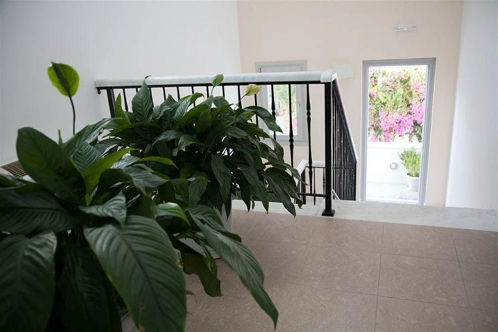 Atrium Villa