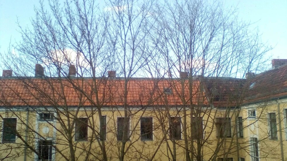 Studio in Berlin, With Enclosed Garden and Wifi