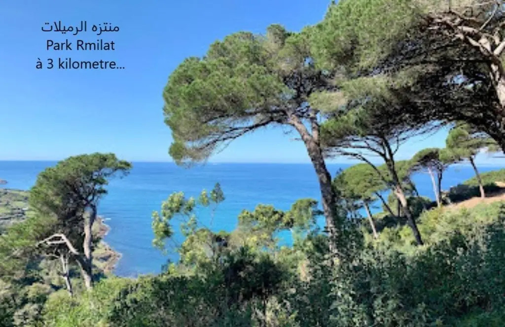 Logement entier: Cool appartement chez AZIZ
