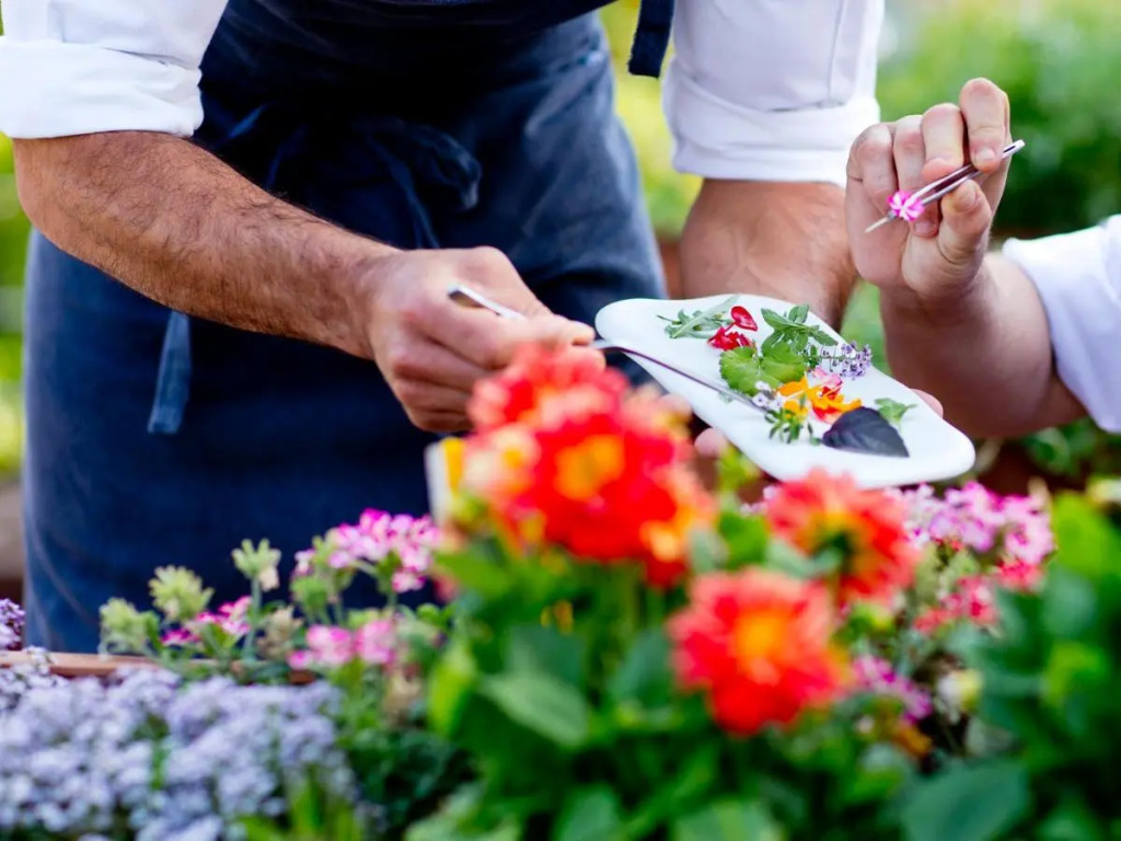 The Cook Book Gastro Boutique Hotel & Spa