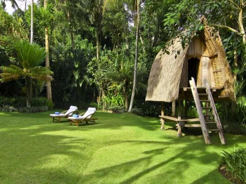 The Lotus Residence