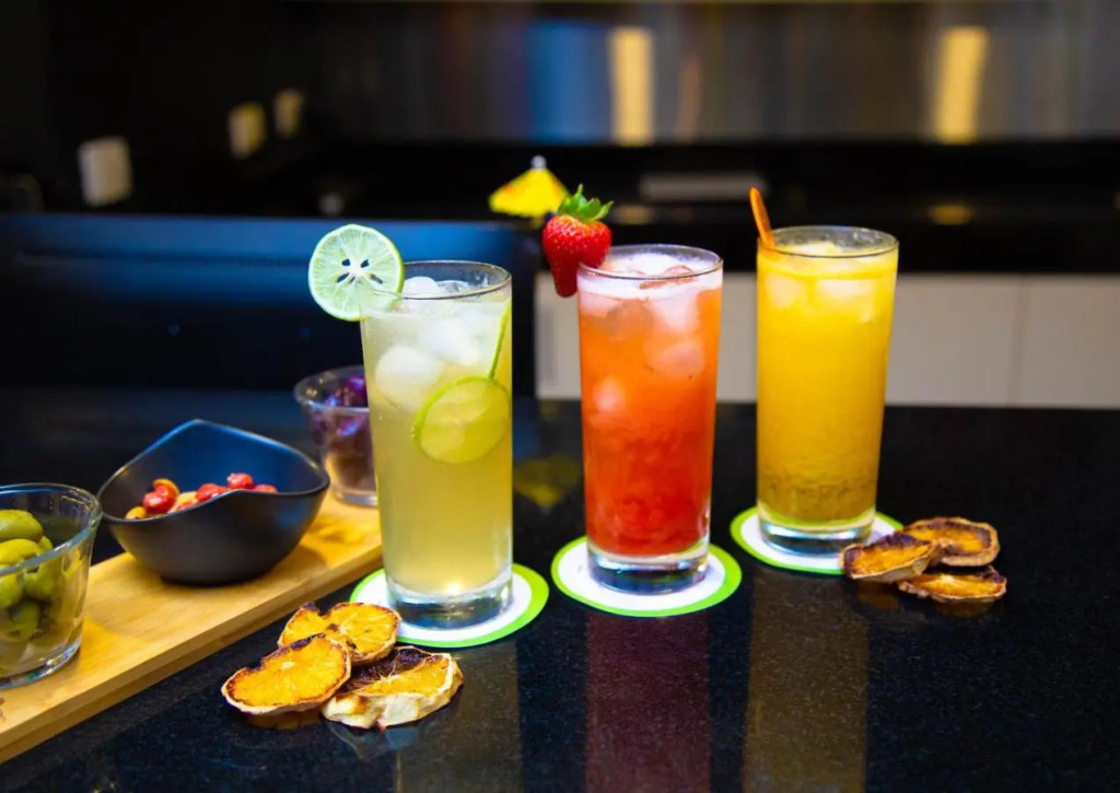 Palmetto Hotel Business San Borja