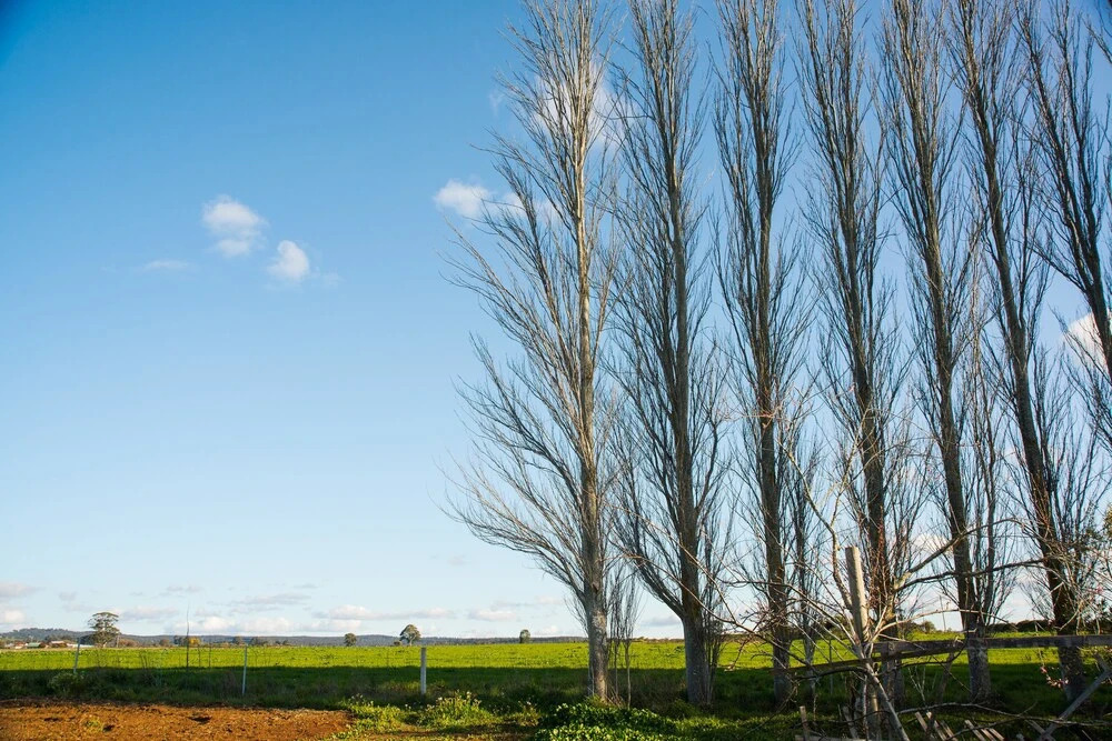 The Royal Standard Farm Daylesford