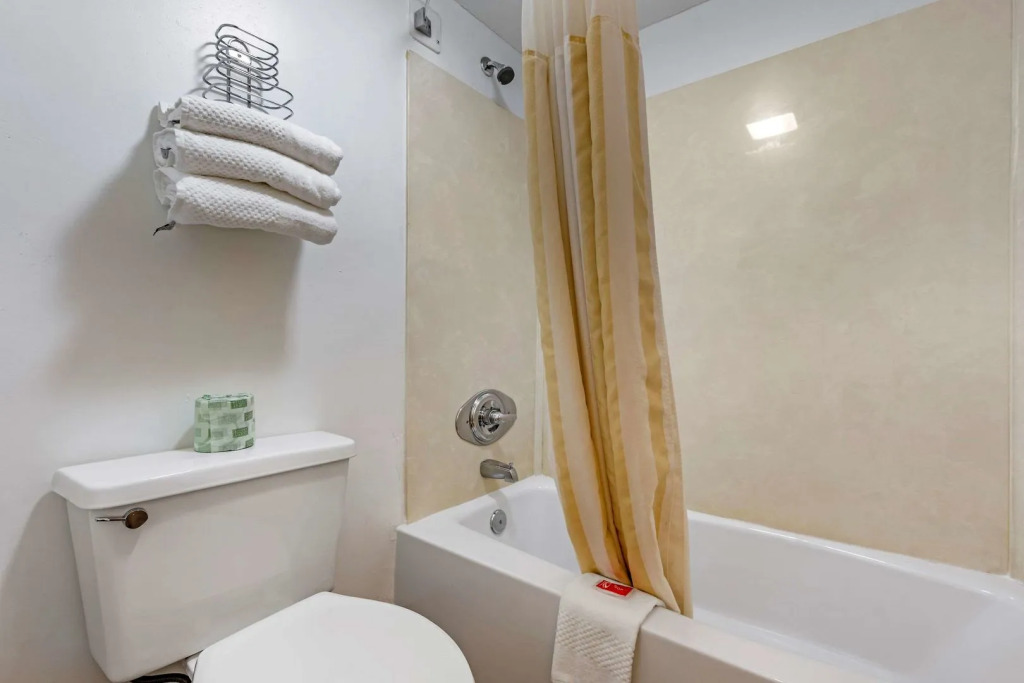 Econo Lodge Inn & Suites Lugoff