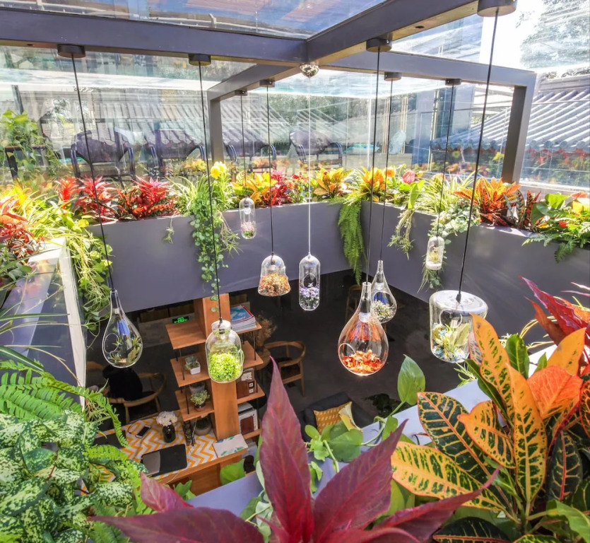 WeLight Hostel - Lost in flowers