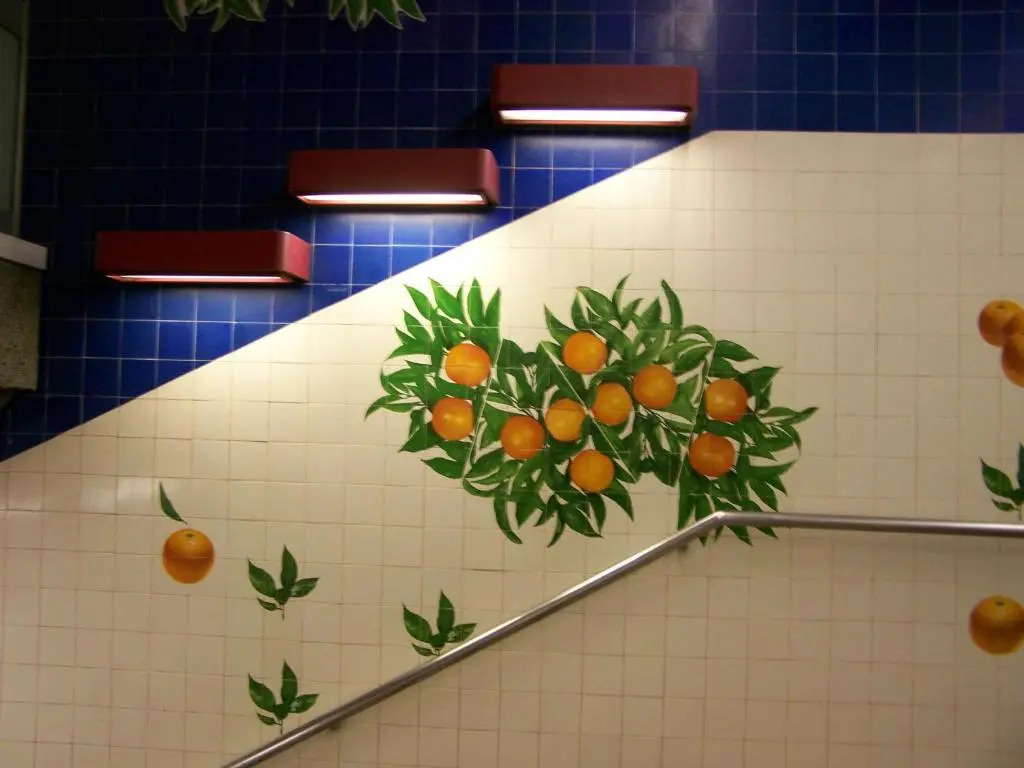Orange Tree T1 - 81194AL