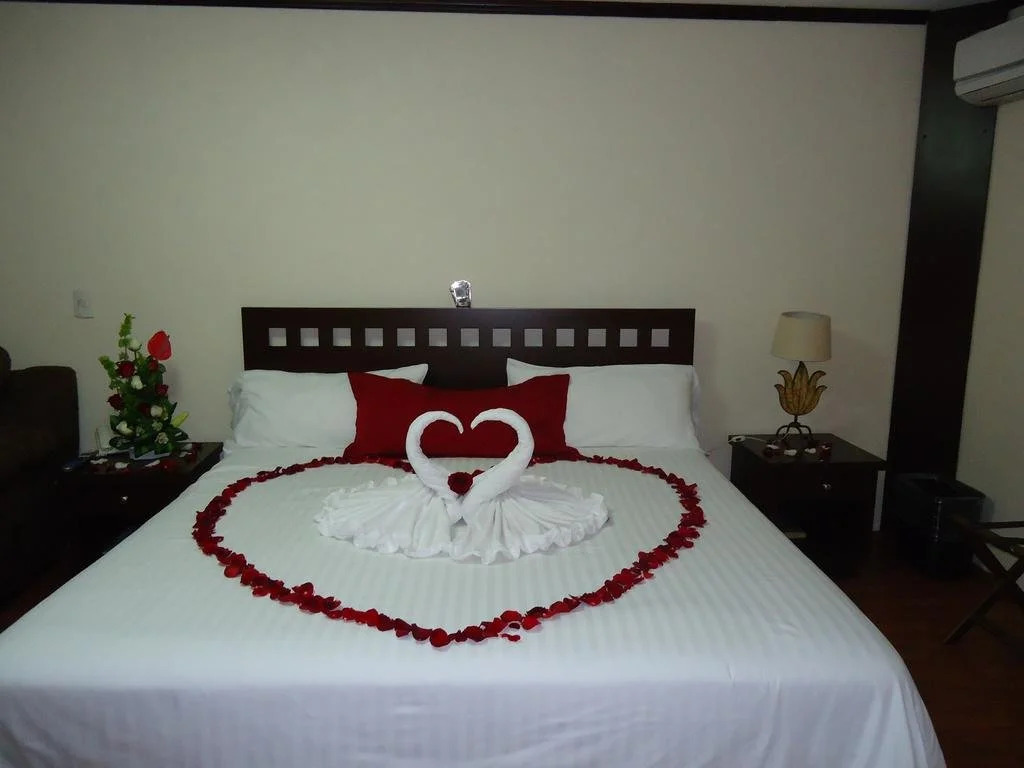 Hotel Plaza San Carlos