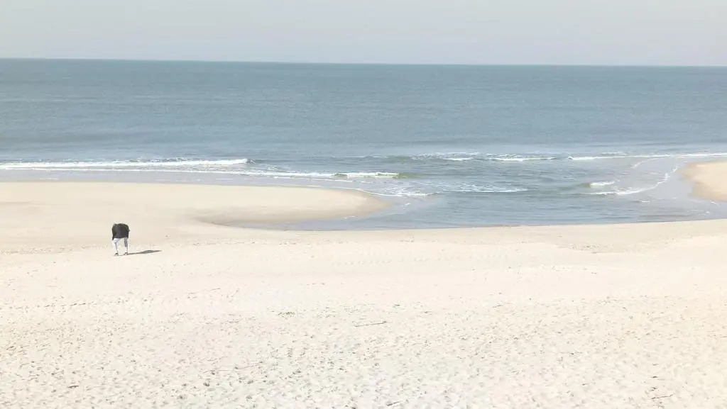 Mini Beach House II