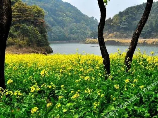 Huangshan Bed and Breakfast