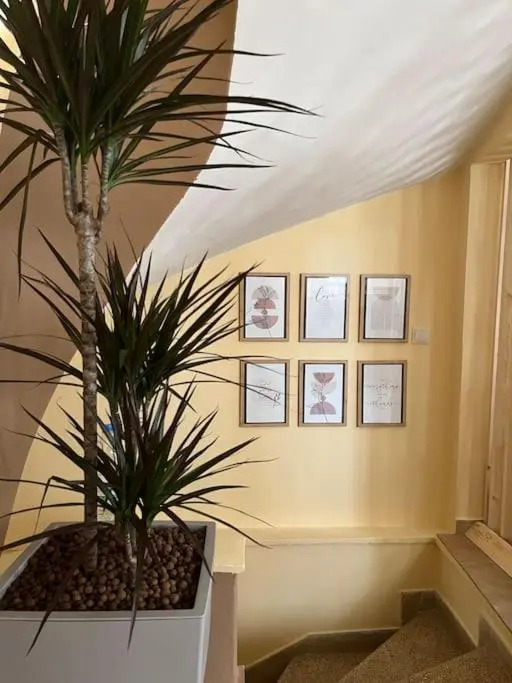 GK Apartment