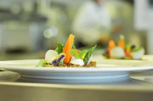 Skotel Amsterdam, Hotelschool The Hague