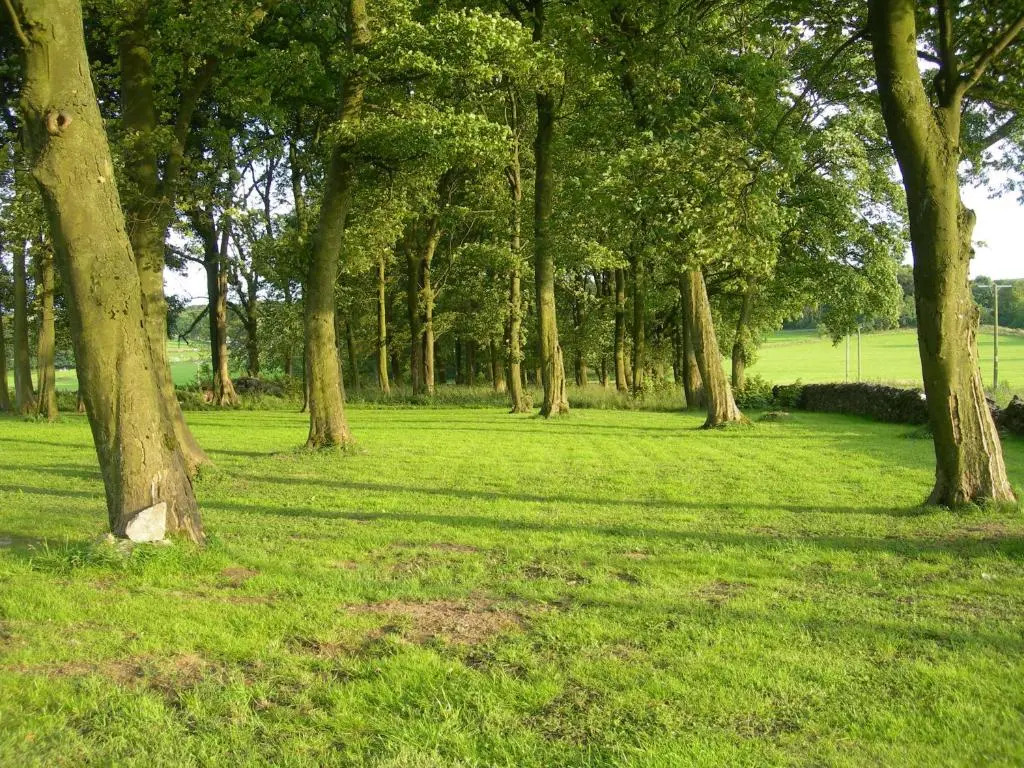 Staden Grange