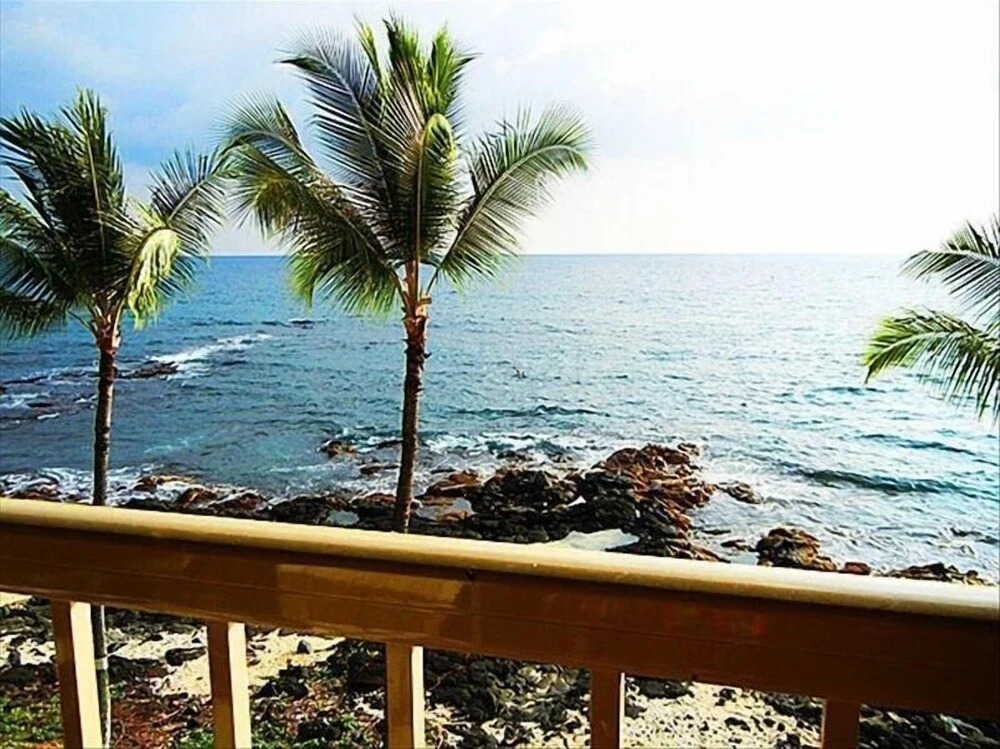 Kona Reef D32
