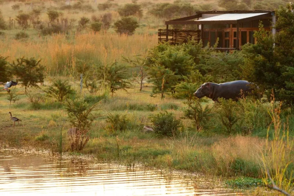 Cheetah Ridge Lodge