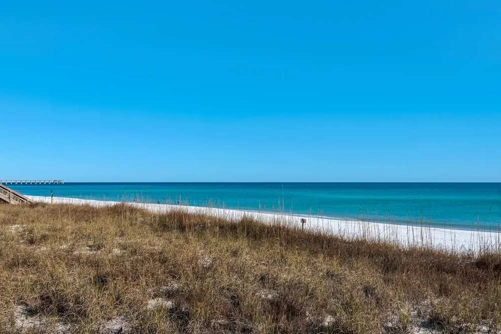 Navarre Towers 104