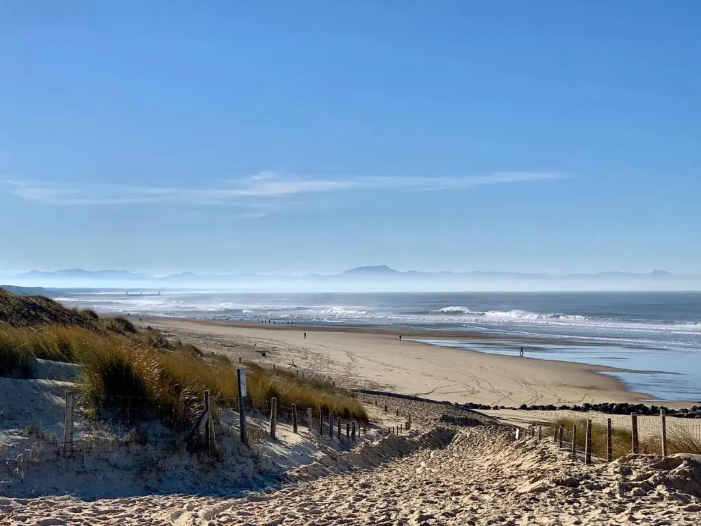 SEIGNOSSE PLAGES: Beau Studio équipé avec terrasse face aux dunes