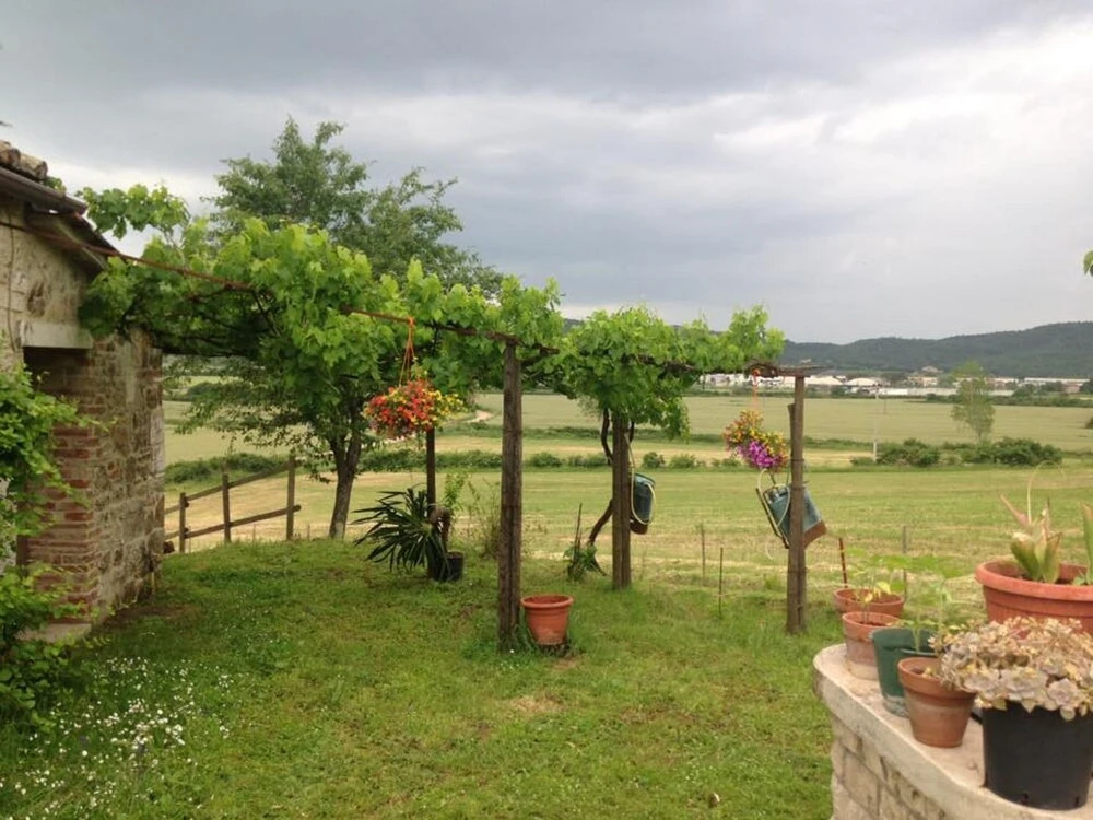 Podere La Selva