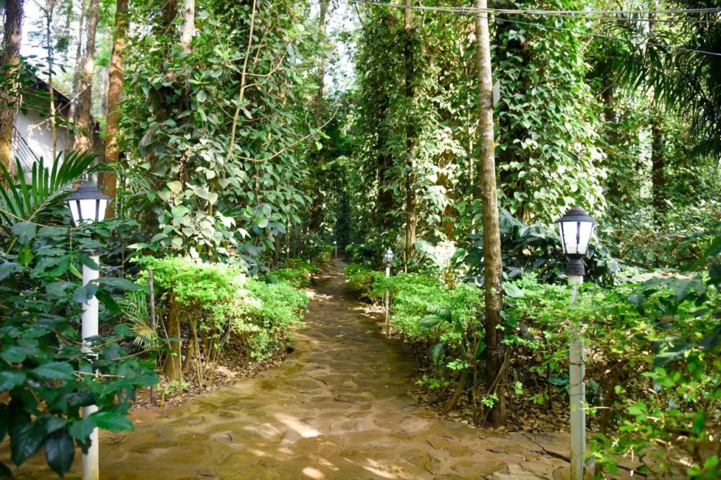 The Spectrum Resort - Chikmagalur