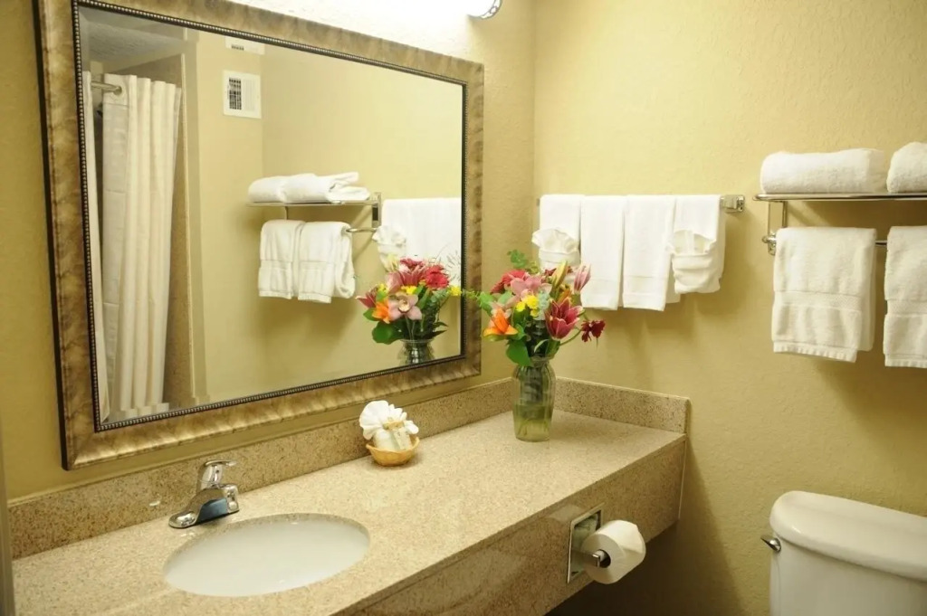Holiday Inn Express Peachtree Corners-Norcross by IHG