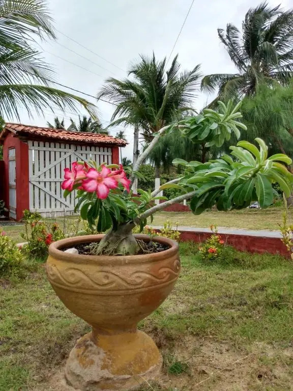 Casa Aratu Moitas-Icaraizinho de Amontada