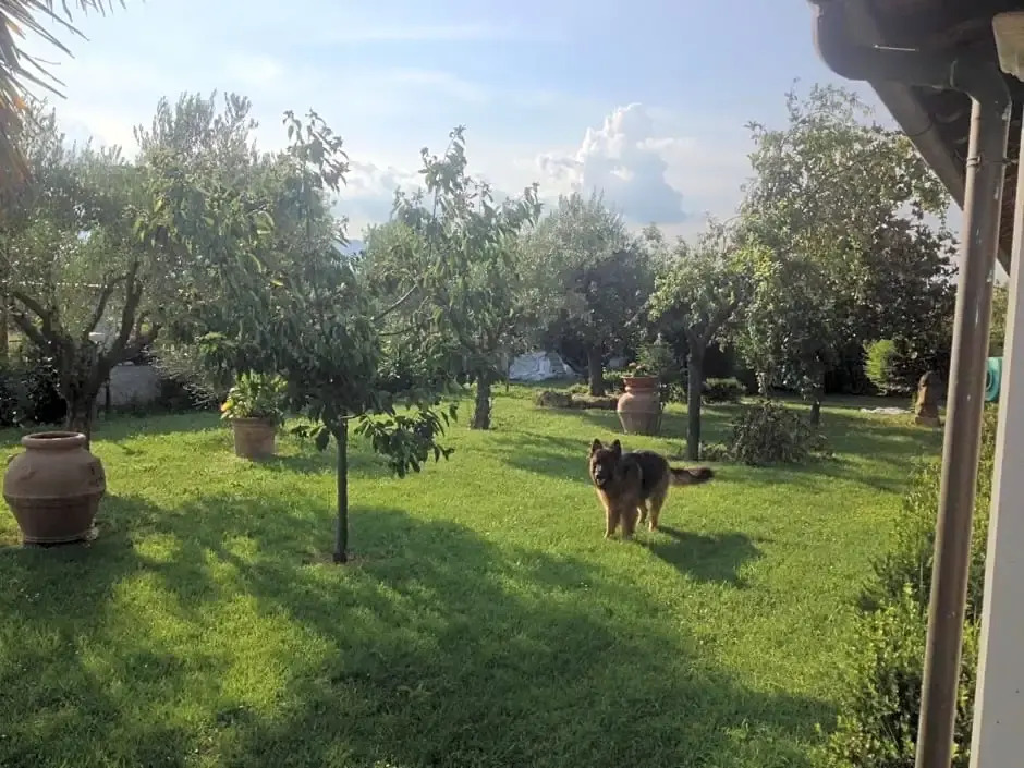 La Spiga